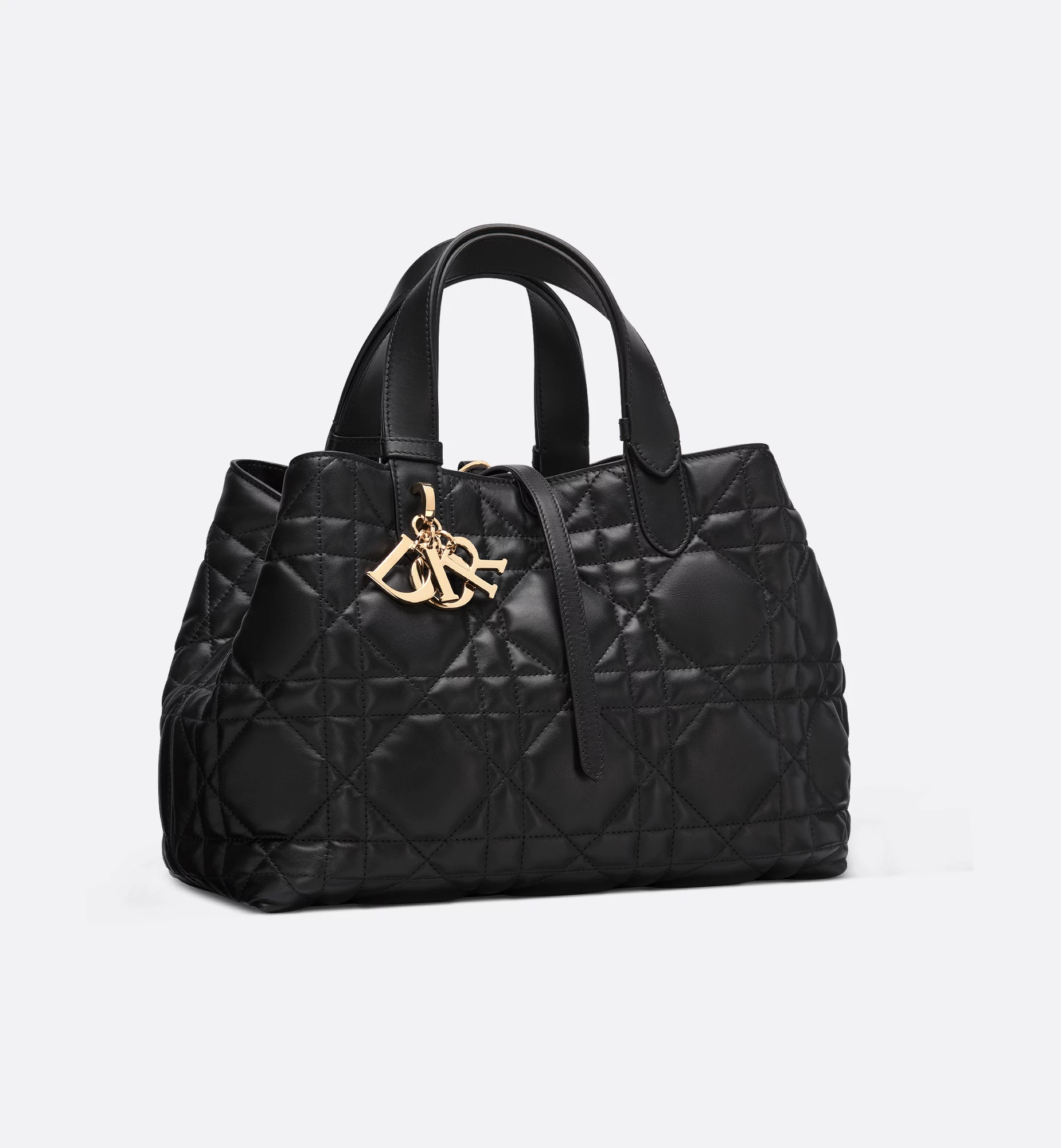 中号-Dior-Toujours-手袋